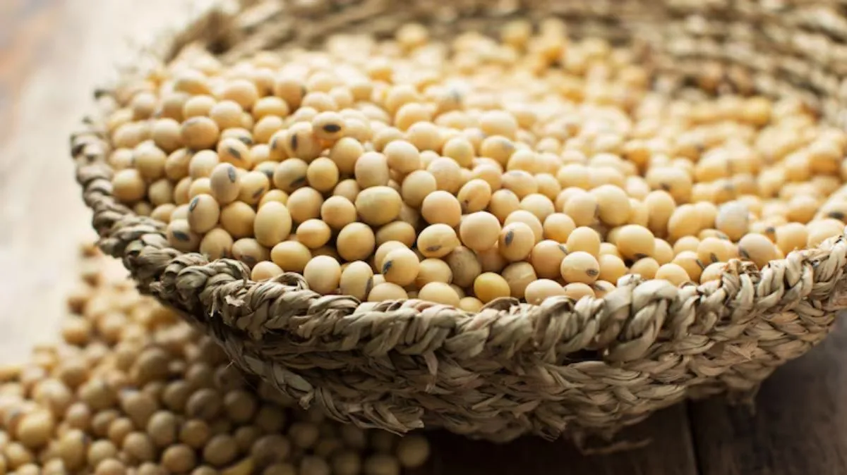 வெறும் வயிற்றில் சோயாபீன்ஸ் சாப்பிடுவதால் கிடைக்கும் நன்மைகள் என்ன? ஒரு நாளைக்கு எவ்வளவு சாப்பிட வேண்டும்?