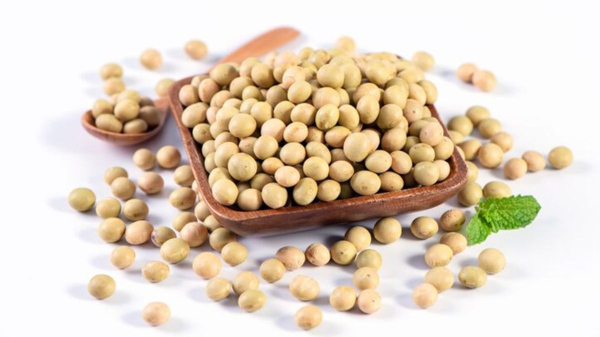 artical - 2025-10-22T113805.449