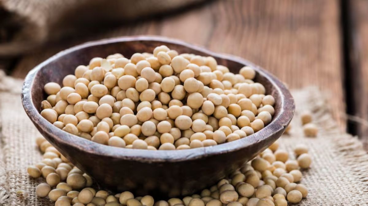 artical - 2025-10-22T114009.895