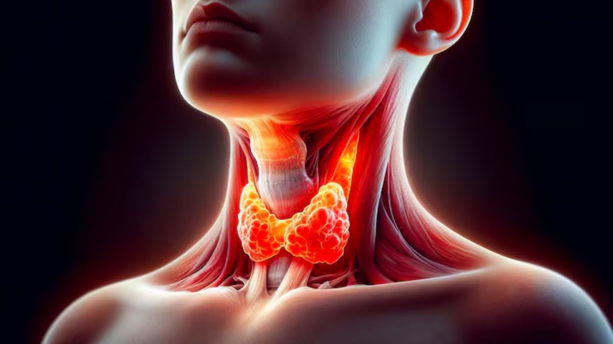 தைராய்டை சமநிலைப்படுத்தும் ரகசியம் இதுதான் – தினமும் 4 வால்நட்ஸ் போதும்!