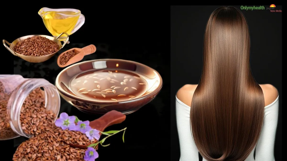 முடி வளர்ச்சிக்கு ஆளி விதையை இப்படி யூஸ் பண்ணுங்க.. மருத்துவர் பரிந்துரை..