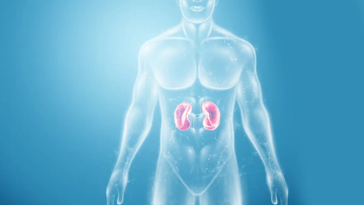 இரவில் உடலில் தோன்றும் 5 எச்சரிக்கை அறிகுறிகள்.. சிறுநீரக சேதத்தைக் குறிக்கும் சமிக்ஞைகள்.!