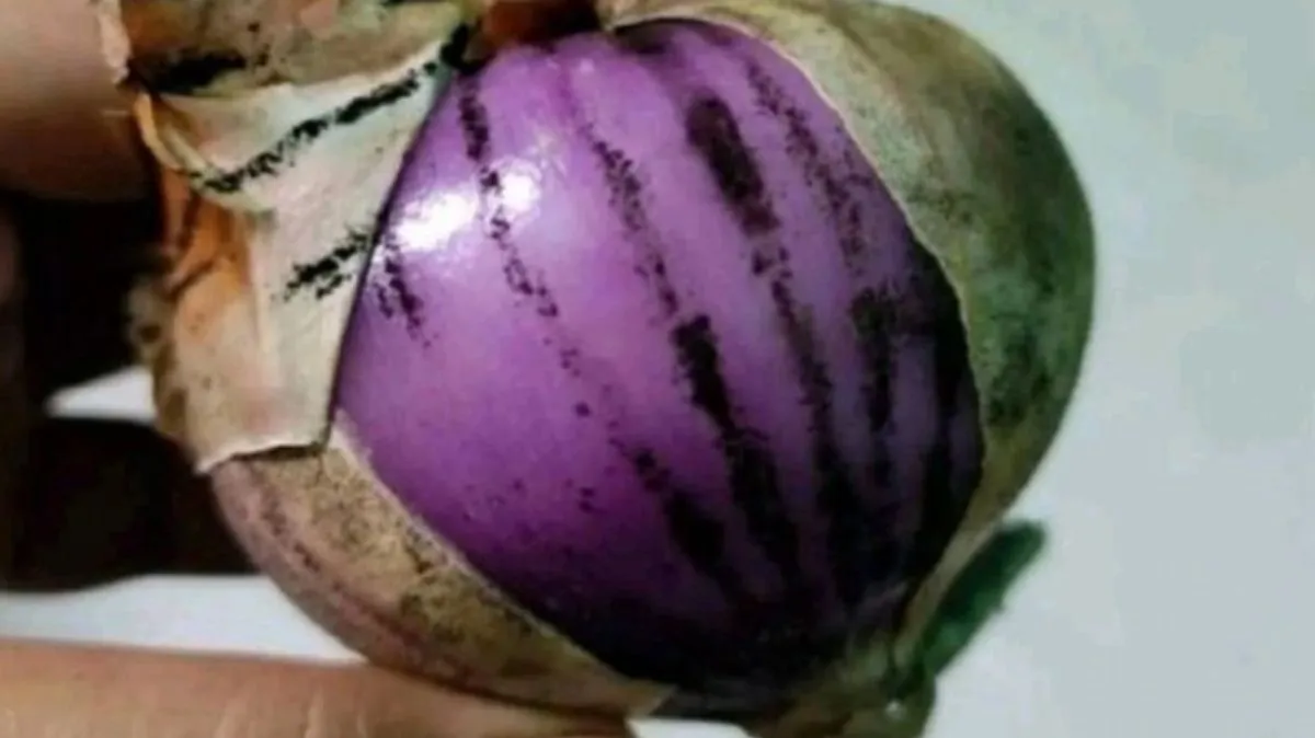 வெங்காயத்தில் கருப்பு புள்ளிகள் இருந்தால் சாப்பிடலாமா? மருத்துவர் எச்சரிக்கை – இதை அறியாமலே பலர் தவறு செய்கிறார்கள்!