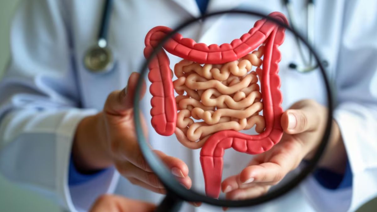 குடல் ஆரோக்கியம் சிறப்பாக இருக்க.. இந்த பழக்கத்தை ஃபாளோ பண்ணுங்க.. டாக்டர் அட்வைஸ்..