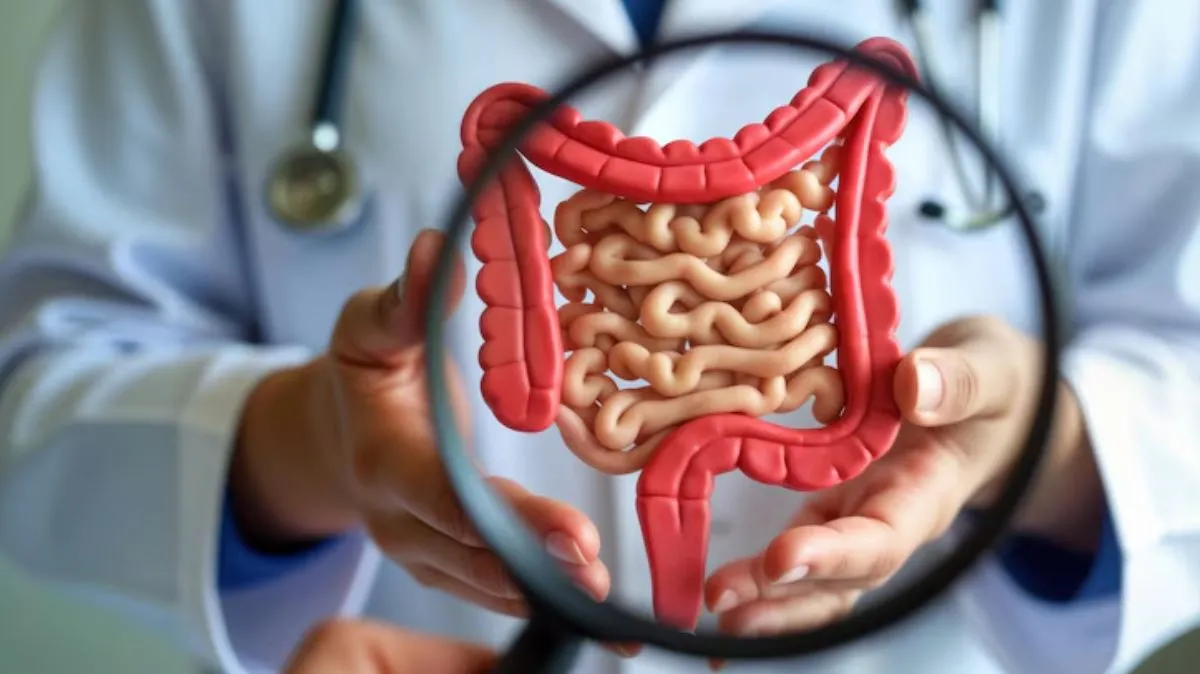 குடல் ஆரோக்கியம் சிறப்பாக இருக்க.. இந்த பழக்கத்தை ஃபாளோ பண்ணுங்க.. டாக்டர் அட்வைஸ்..