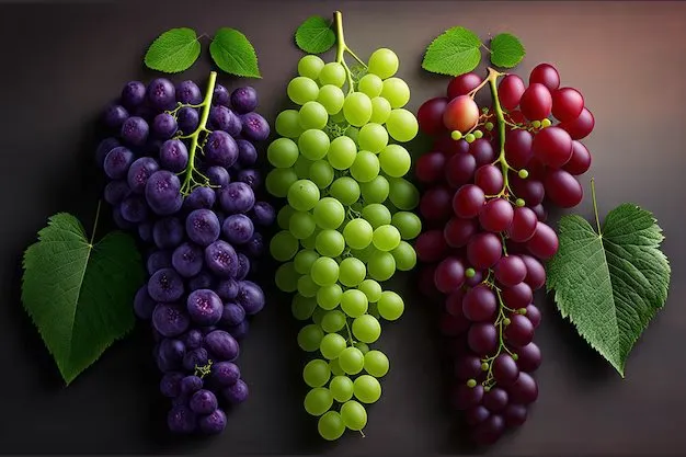 இரும்புச்சத்து குறைபாட்டை போக்கும் ரகசியம் – தினமும் திராட்சை சாப்பிடலாமா? நிபுணர்கள் சொல்வது இதுதான்!