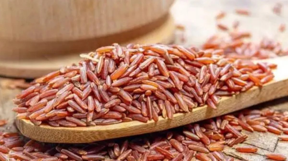 பெண்களுக்கான அரிசி.! பூங்கார் அரிசி குறித்து மருத்துவர் விளக்கம்..