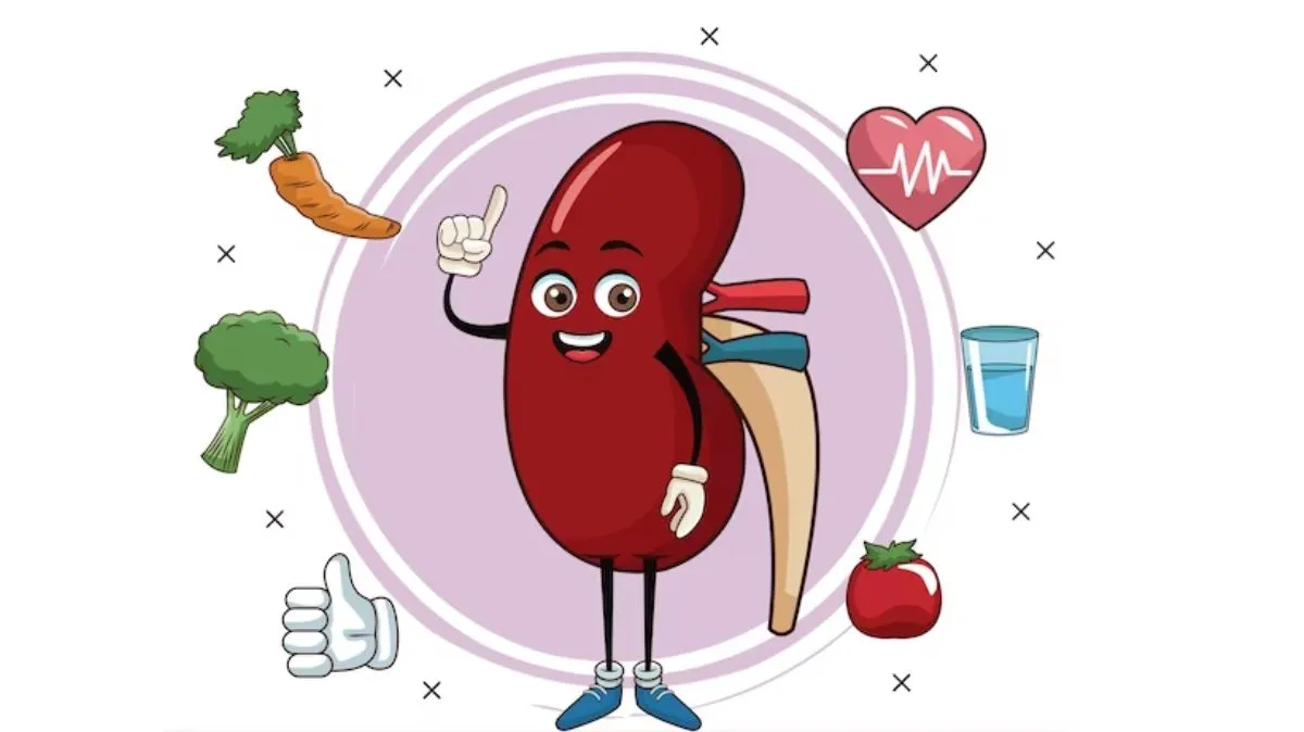 தேநீர் குடிப்பதால் சிறுநீரக கற்கள் உருவாகுமா? – நிபுணர் எச்சரிக்கை!