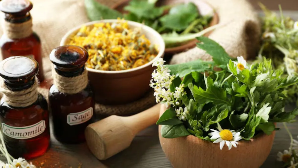 வீக்கத்தை எதிர்த்துப் போராட உதவும் 10 சிறந்த மூலிகைகள் இதோ.. நிபுணர் தரும் டிப்ஸ்