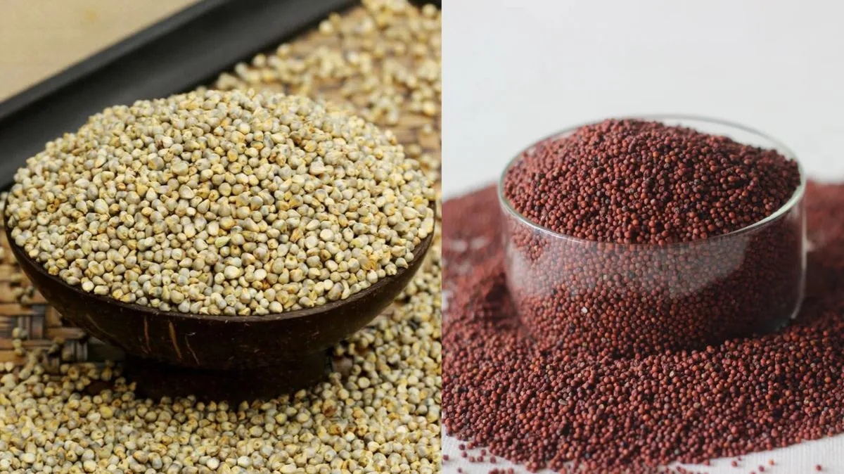 கம்பு vs கேழ்வரகு.. 45 வயதுக்கு பிறகு எது சிறந்தது.? மருத்துவர் விளக்கம்..