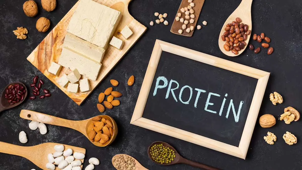 ஒட்டுமொத்த உடற்தகுதிக்கு புரத உறிஞ்சுதலை அதிகரிக்க 5 சைவ புரத ஆதாரங்கள்.. மருத்துவர் பரிந்துரை..