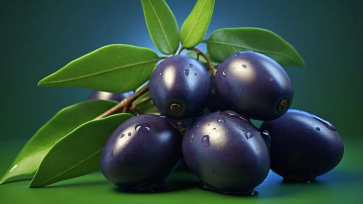 நன்மைகளை வாரி வழங்கும் நாவல் பழம்.! இந்த நோயேல்லாம் கிட்ட வராது.!