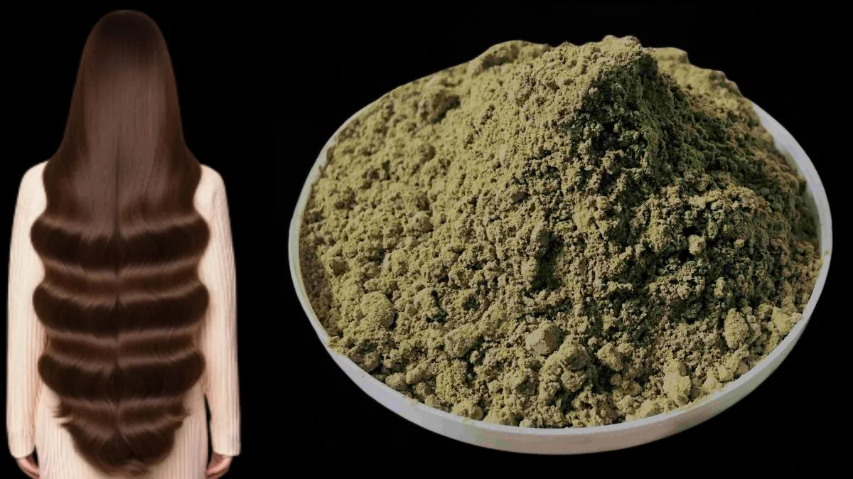 அவுரி பொடி சரியாக பயன்படுத்தினால் மட்டுமே நரை குறையும்! மருத்துவர் சொல்வது என்ன?