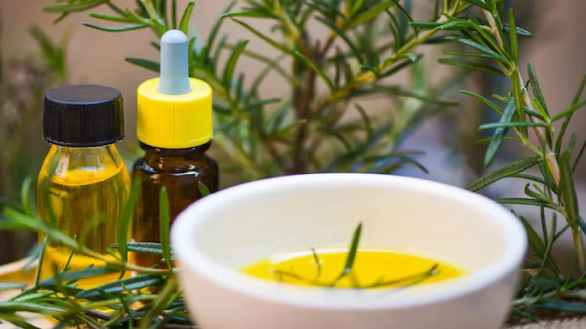 கொட்டும் முடி உதிர்வை நிறுத்த வீட்டில் தயாரித்த இந்த எண்ணெயை 10 நாள் யூஸ் பண்ணி பாருங்க.. முடி மீண்டும் வளரும்