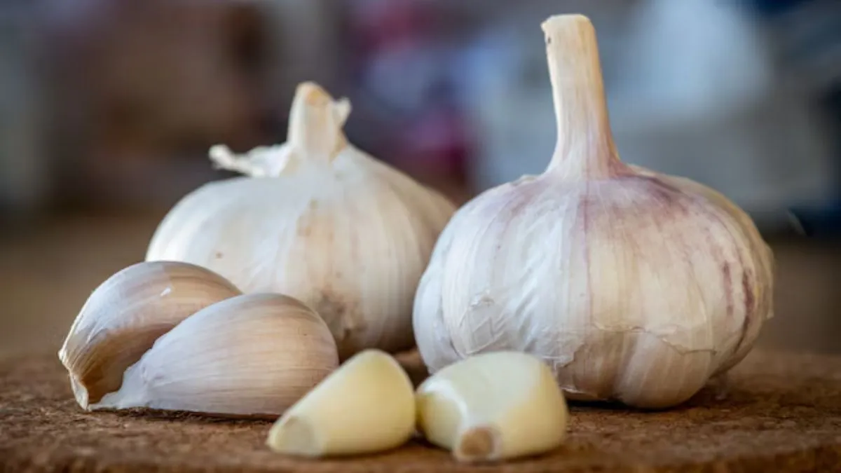 பூண்டை எப்படி சமைப்பதால் என்னென்ன நன்மைகள் கிடைக்கும்? பூண்டின் அதிசய நன்மைகள் இதோ