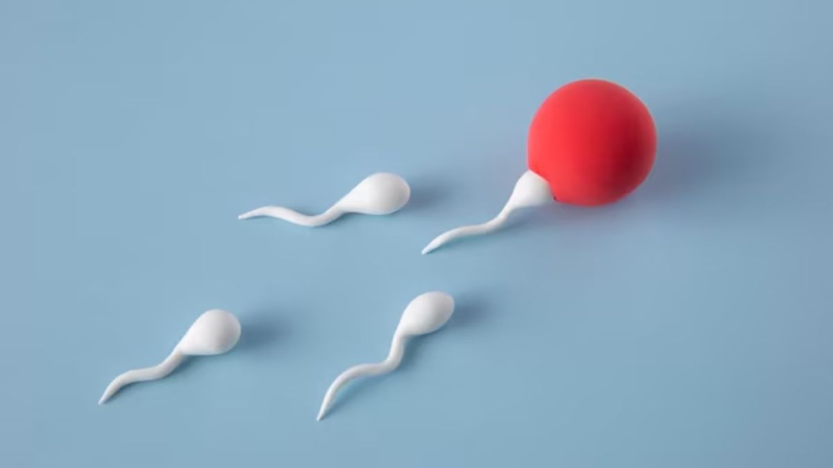 how to improve fertility