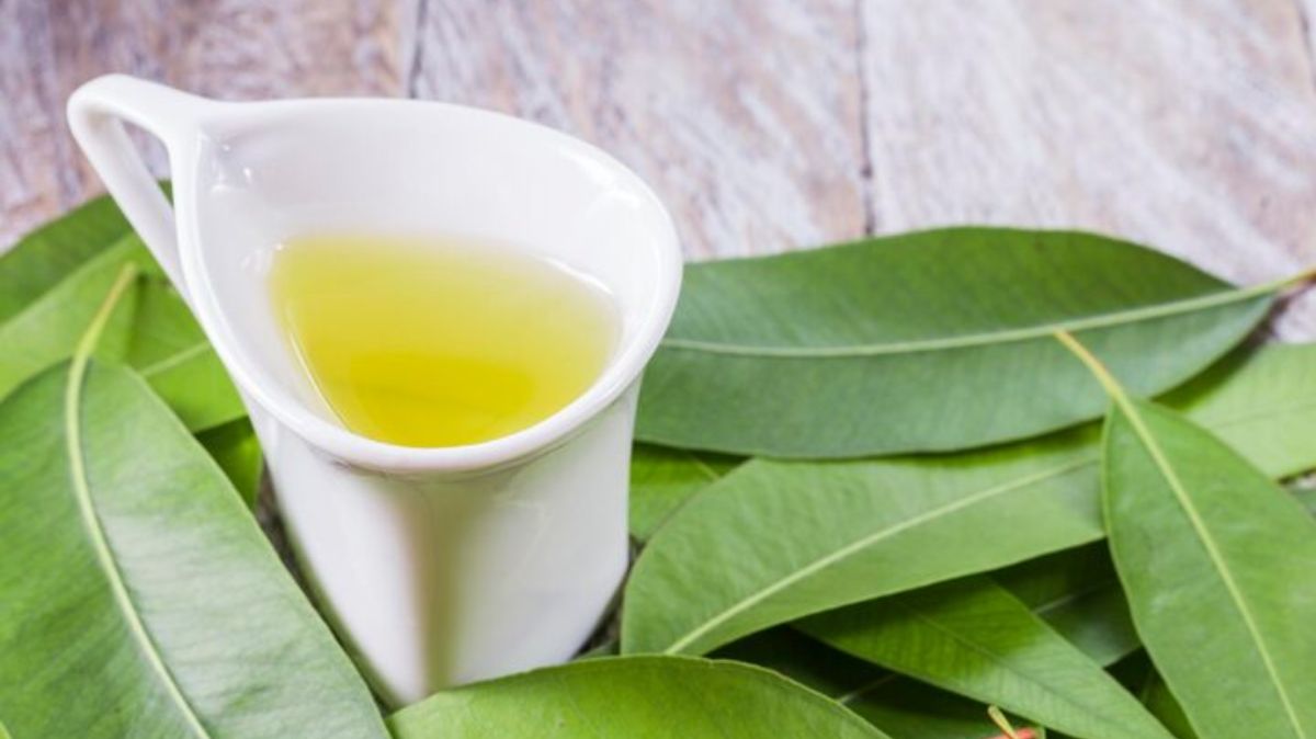 கொய்யா இலையின் 5 அதிசய மருத்துவ நன்மைகள் – மாதவிடாய் வலி முதல் புற்றுநோய் செல்கள் வரை கட்டுப்படுத்தும் இயற்கை மருந்து!