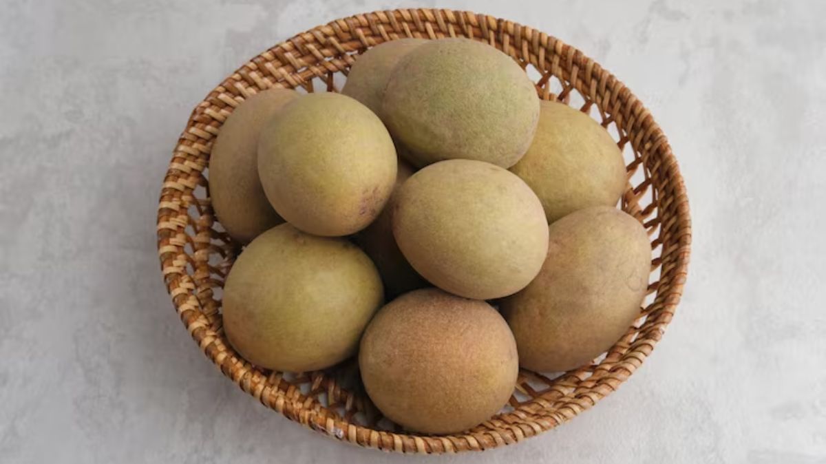 குளிர்காலத்தில் சப்போட்டா பழம் சாப்பிடுவதால் இவ்வளவு நன்மைகளா?!