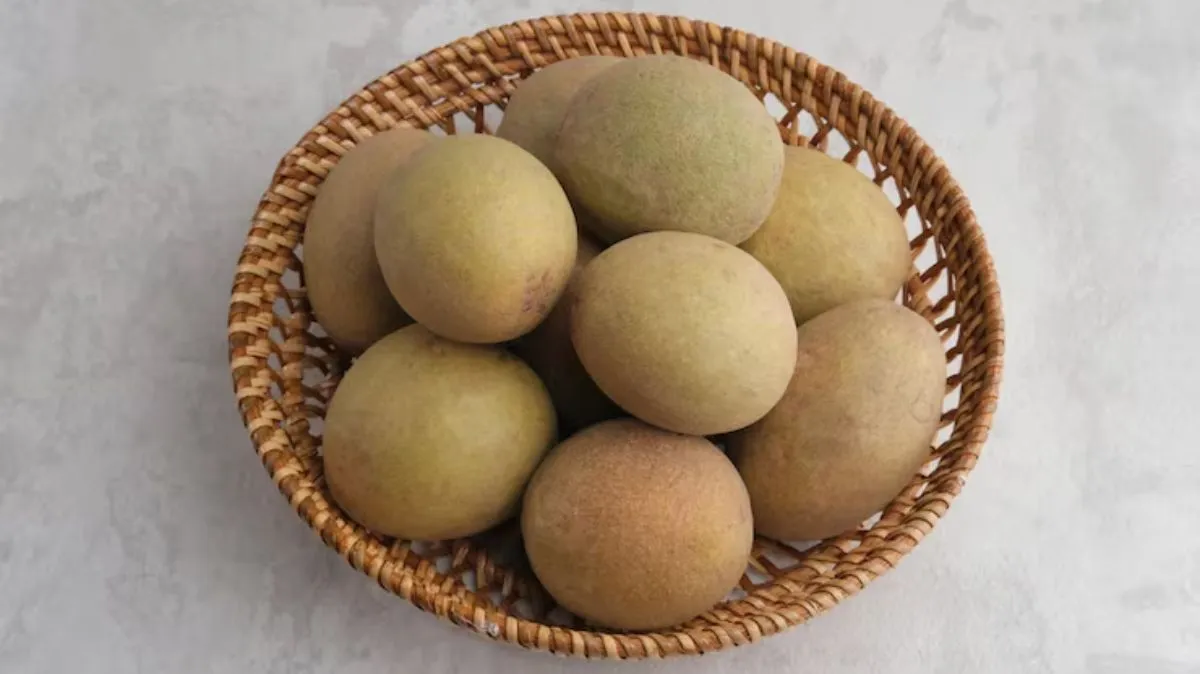 குளிர்காலத்தில் சப்போட்டா பழம் சாப்பிடுவதால் இவ்வளவு நன்மைகளா?!