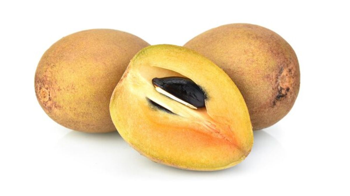 artical  - 2025-12-03T095629.444