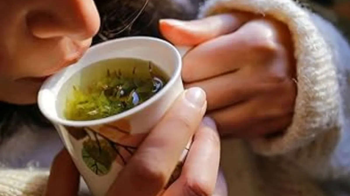 பனிக்காலத்தில் அதிகரிக்கும் சளி இருமல் பிரச்சனைகளுக்கு எளிய தீர்வு.! கரிசலாங்கண்ணி கீரை செய்யும் அதிசயம்.! மருத்துவர் சிவராமன் விளக்கம்..