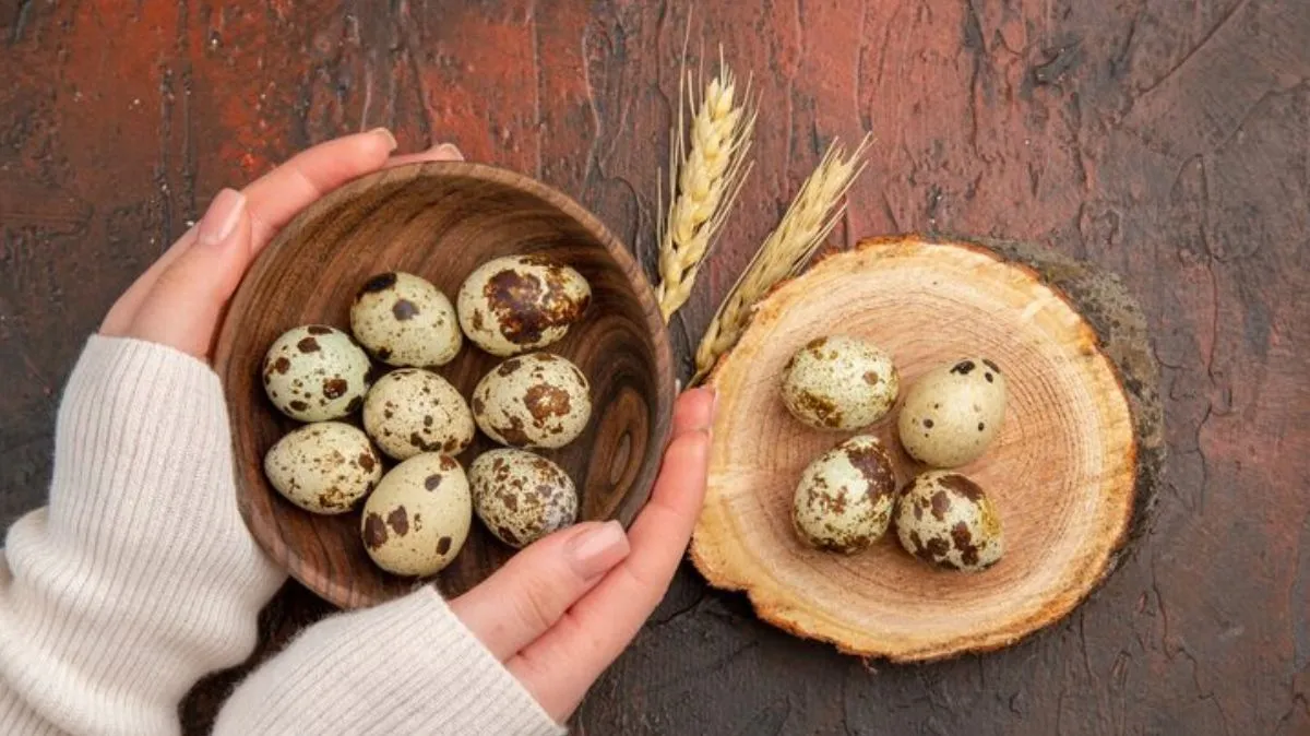 Immunity-யை ராக்கெட் வேகத்தில் உயர்த்தும் காடை முட்டை!  குழந்தைகளுக்கும் பெரியவர்களுக்கும் ஏன் சாப்பிட சொல்லுறாங்கனு தெரியுமா?