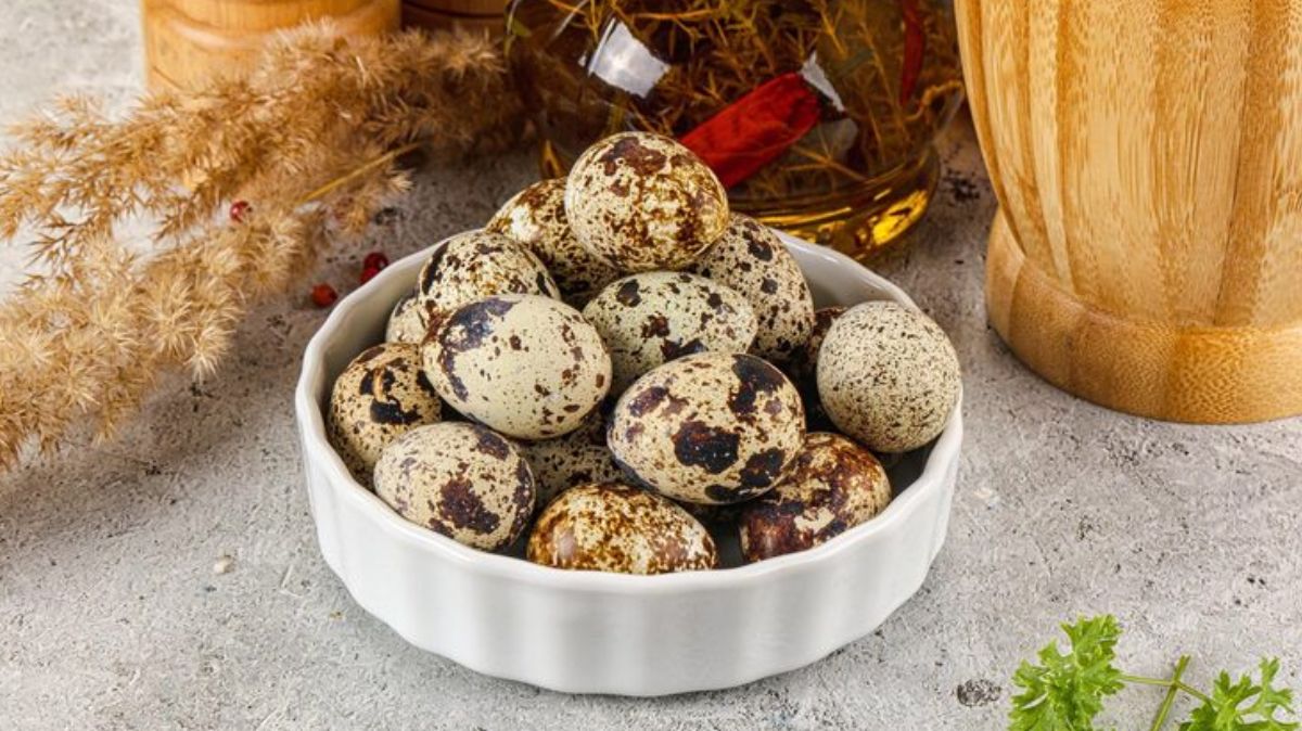 artical  - 2025-12-05T232604.898