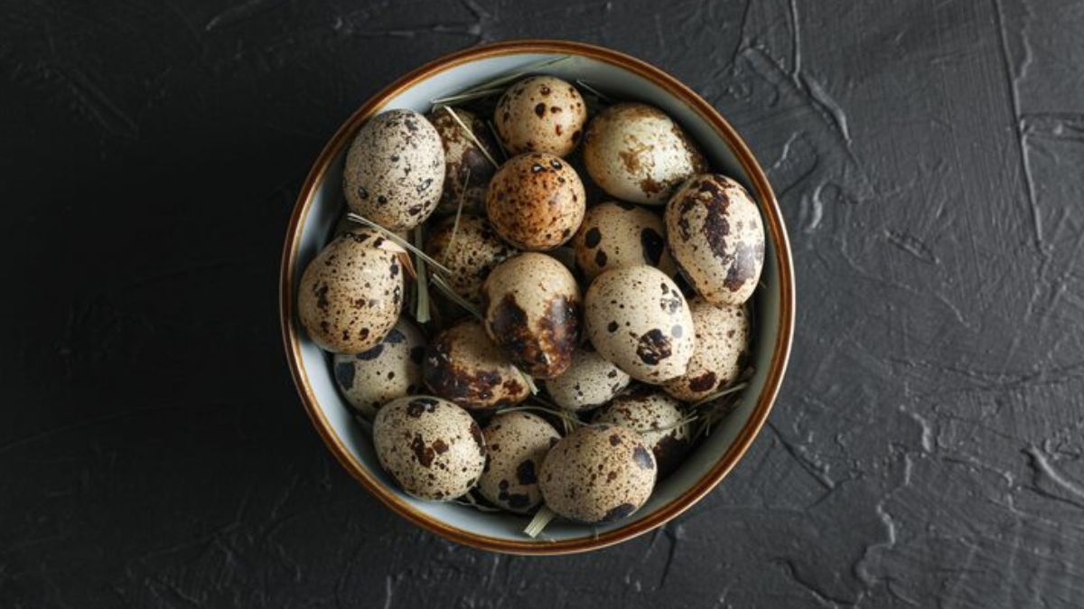 artical  - 2025-12-05T232655.572