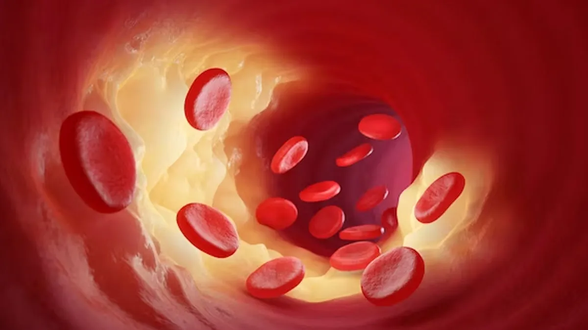 கொலஸ்ட்ராலை இயற்கையாகக் குறைக்க டாக்டர் தீபா கூறும் 3 எளிய குறிப்புகள்.!