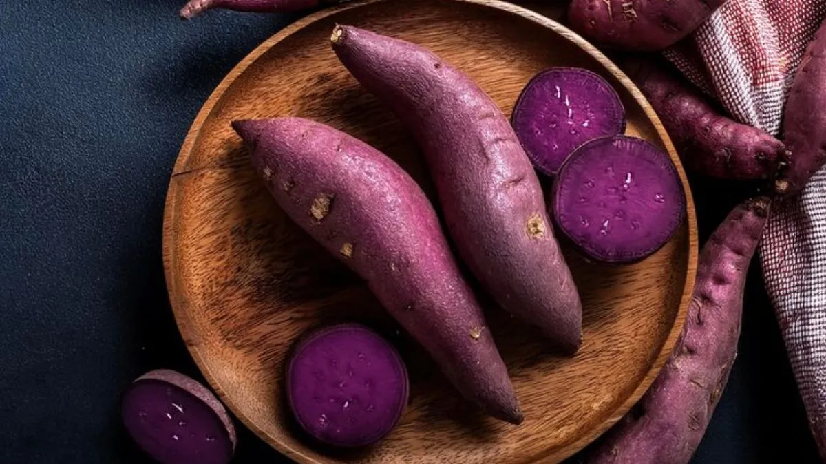 உடலுக்கு நன்மை தரும் சக்கரவள்ளி கிழங்கு.! கிடைத்தால் விட்ராதீங்க..