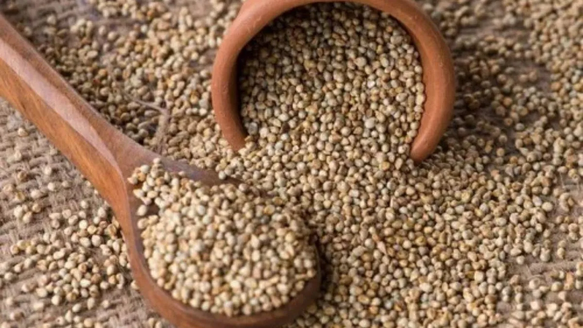 குளிர்காலத்தில் கம்பு சாப்பிடுவதால் உங்க உடலுக்கு என்னாகும் தெரியுமா? நிபுணர் தரும் விளக்கம்