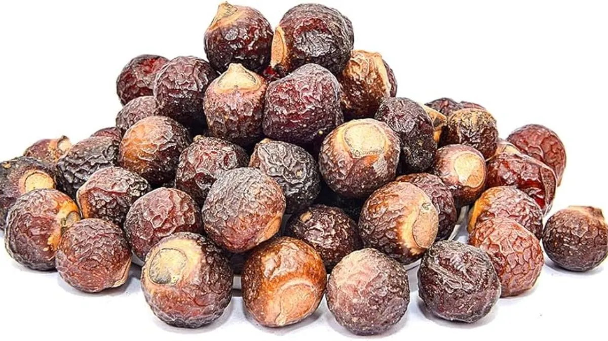 Chemical Shampoo வேண்டாம்.! பூந்திக்காய் போதும்..