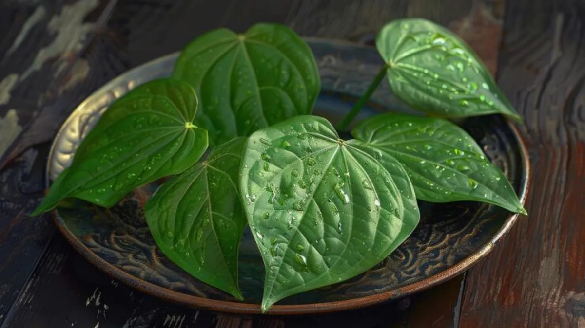 வெற்றிலையின் அசத்தல் நன்மைகள்.! மருத்துவர் விளக்கம்..