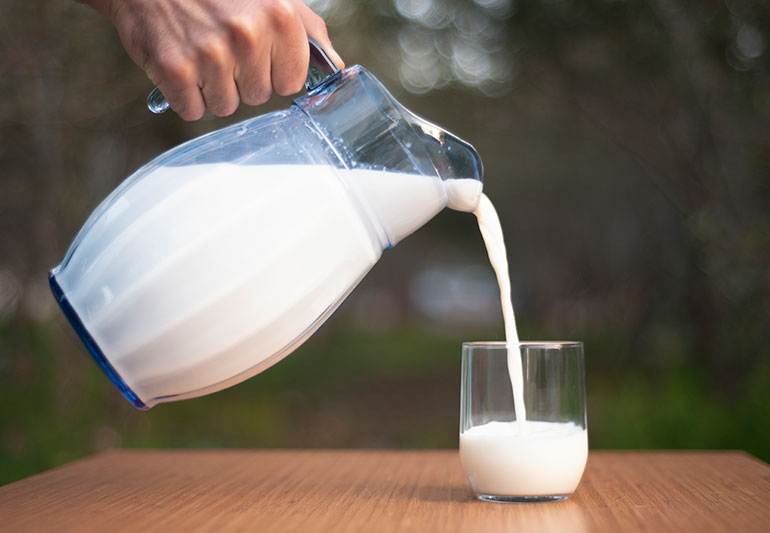 Drinking Raw Milk: பாலை காய்ச்சாமல் குடிப்பது நல்லதா? கெட்டதா?