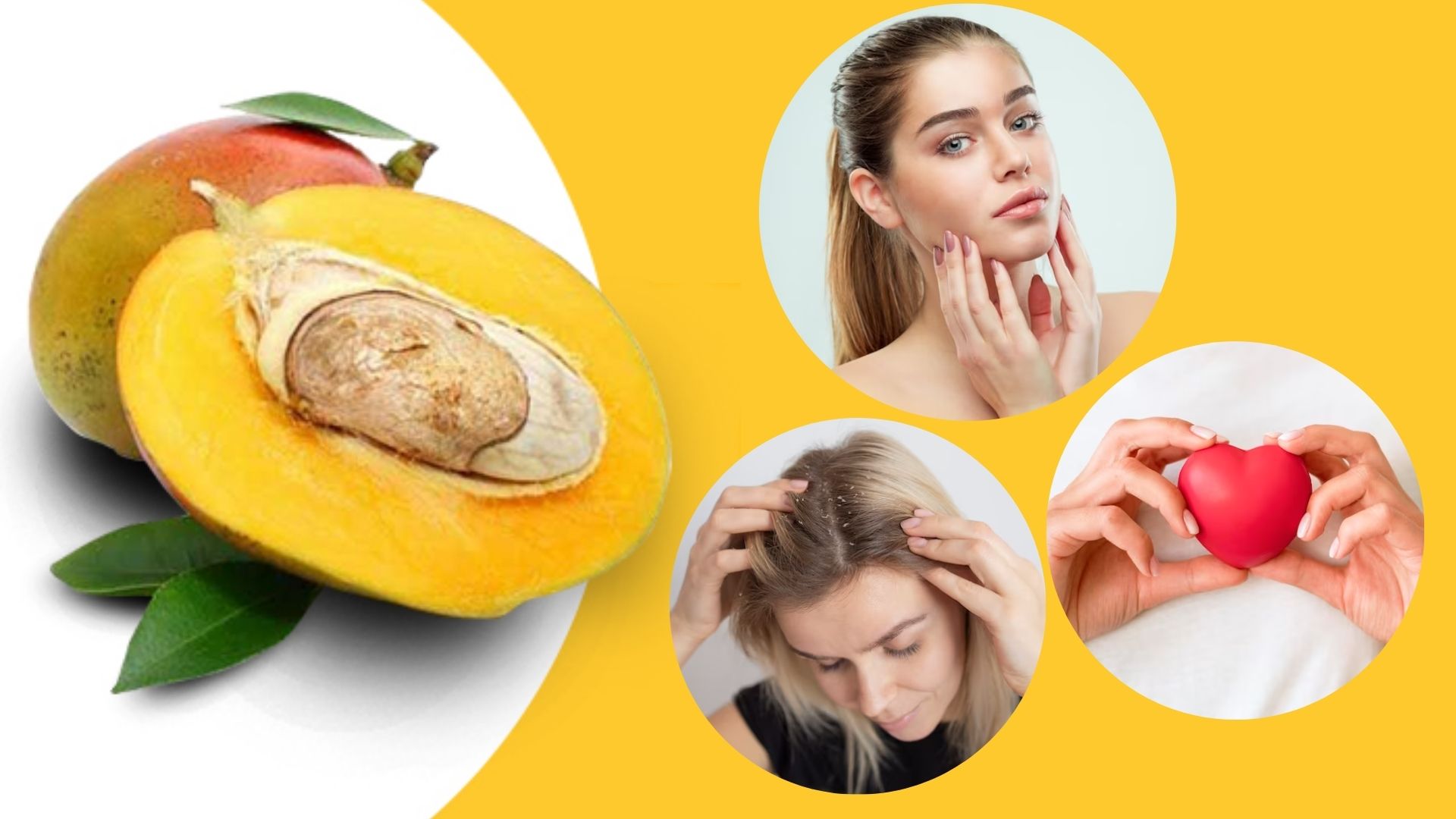Mango seed benefits : மாங்கொட்டையில் கொட்டிக்கிடக்கும் ஆரோக்கிய நன்மைகள்!!