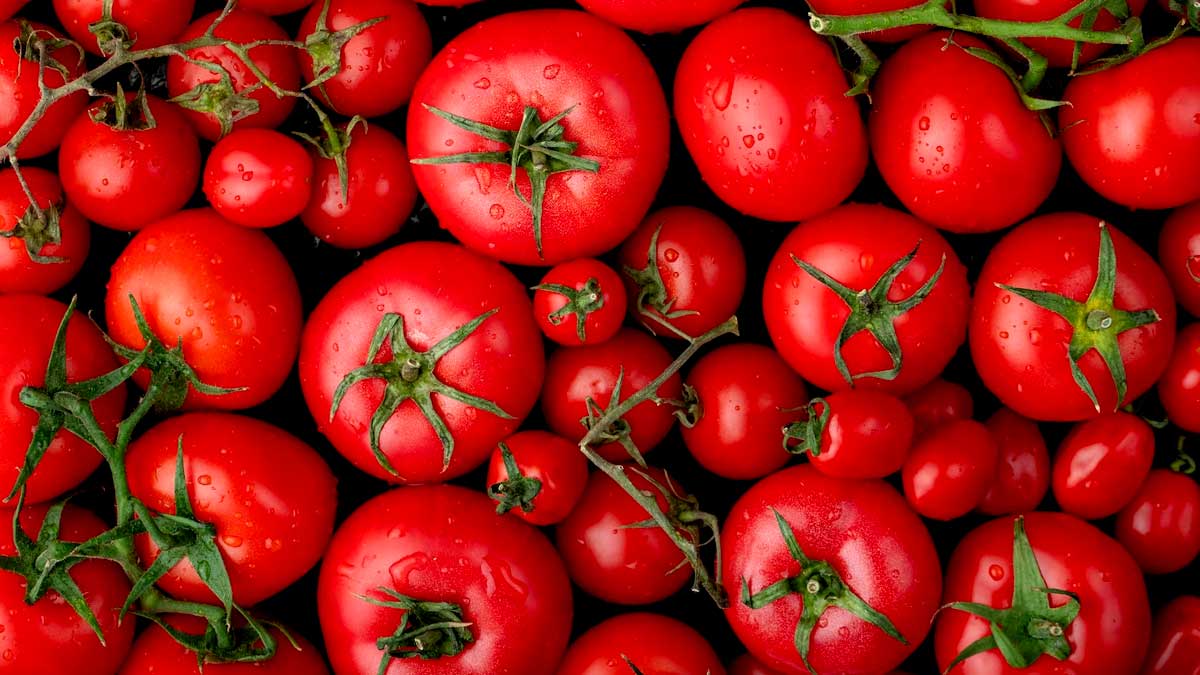 Avoid Eating Tomatoes: இவர்கள் அனைவரும் தக்காளி சாப்பிடுவதை தவிர்ப்பது நல்லது!