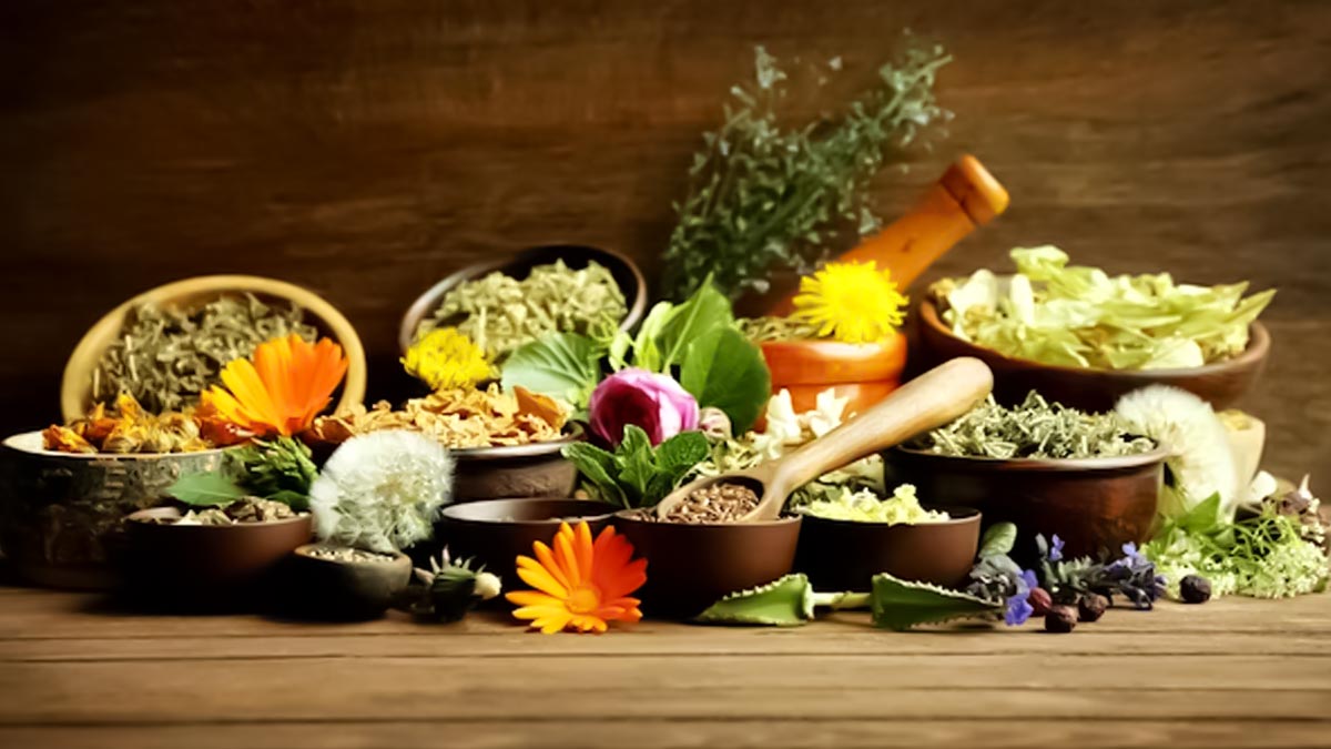 Ayurveda Diet For Monsoon: மழைக்காலத்தில் சாப்பிட வேண்டிய உணவுகள்