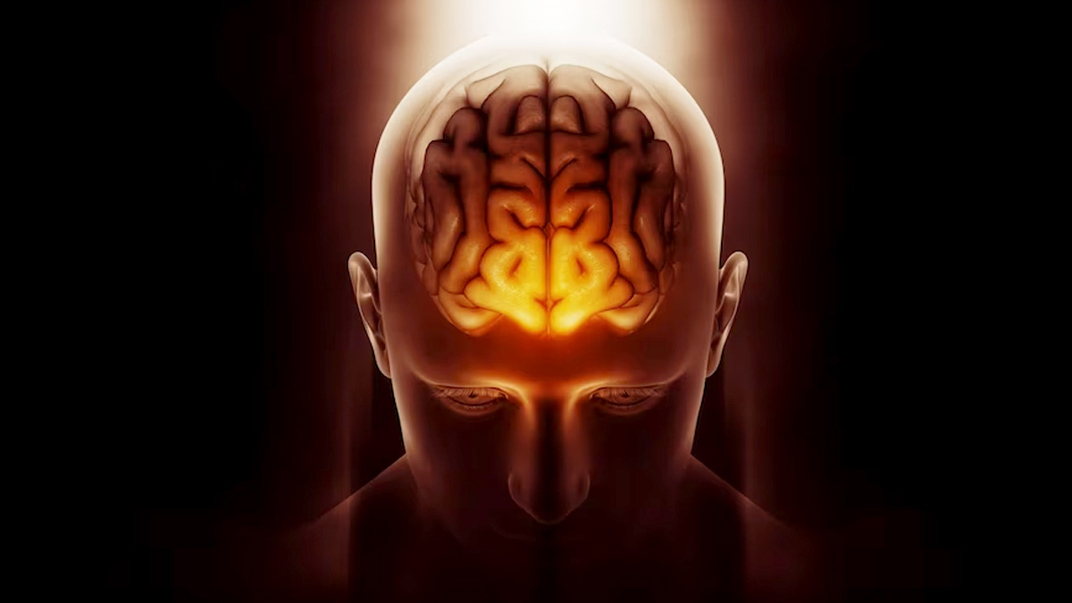 Boost Brain Power: மூளை ஆற்றலை அதிகரிப்பது எப்படி? சிம்பிள் டிப்ஸ்