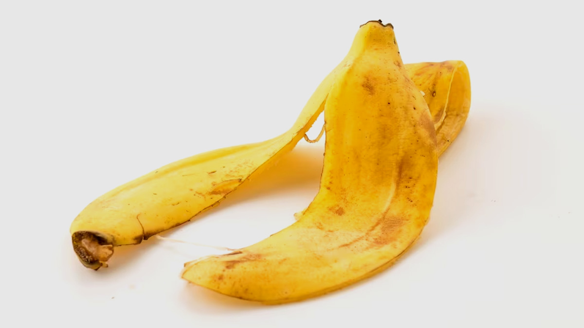 Banana Peel Benefits: சரும பிரச்சனையை நீக்க வாழைப்பழத் தோல் உதவுமா?