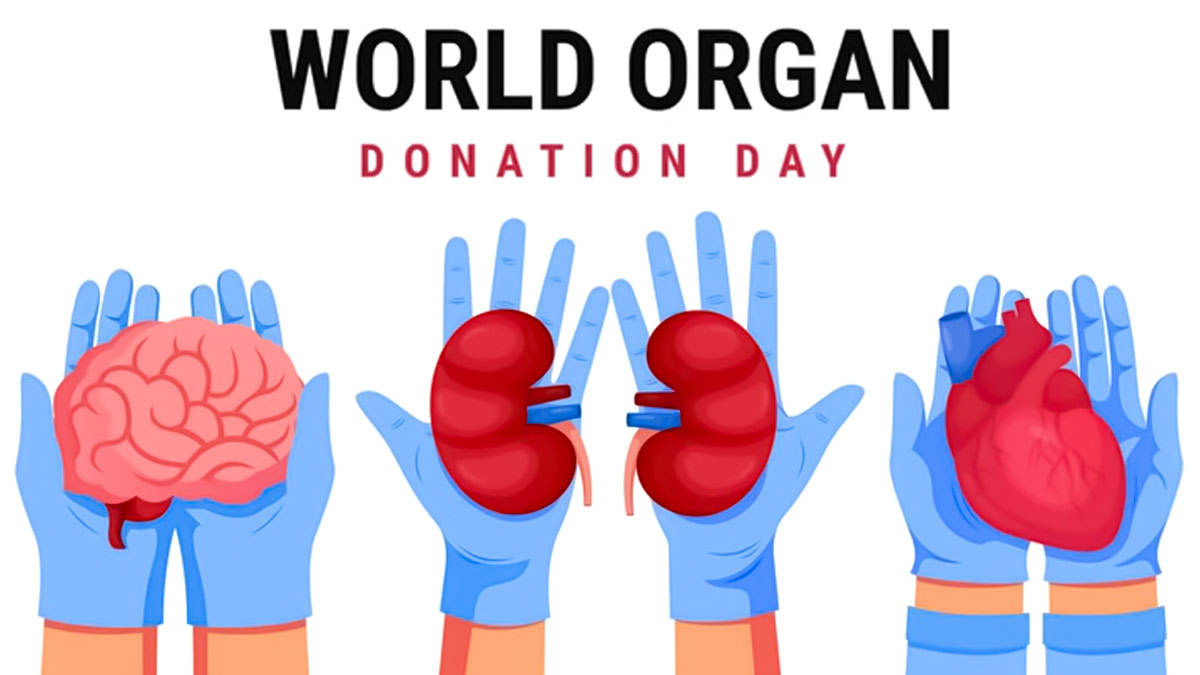 Organ Donation: உடல் உறுப்பு தானம் குறித்த விழிப்புணர்வை எப்படி அதிகரிப்பது?