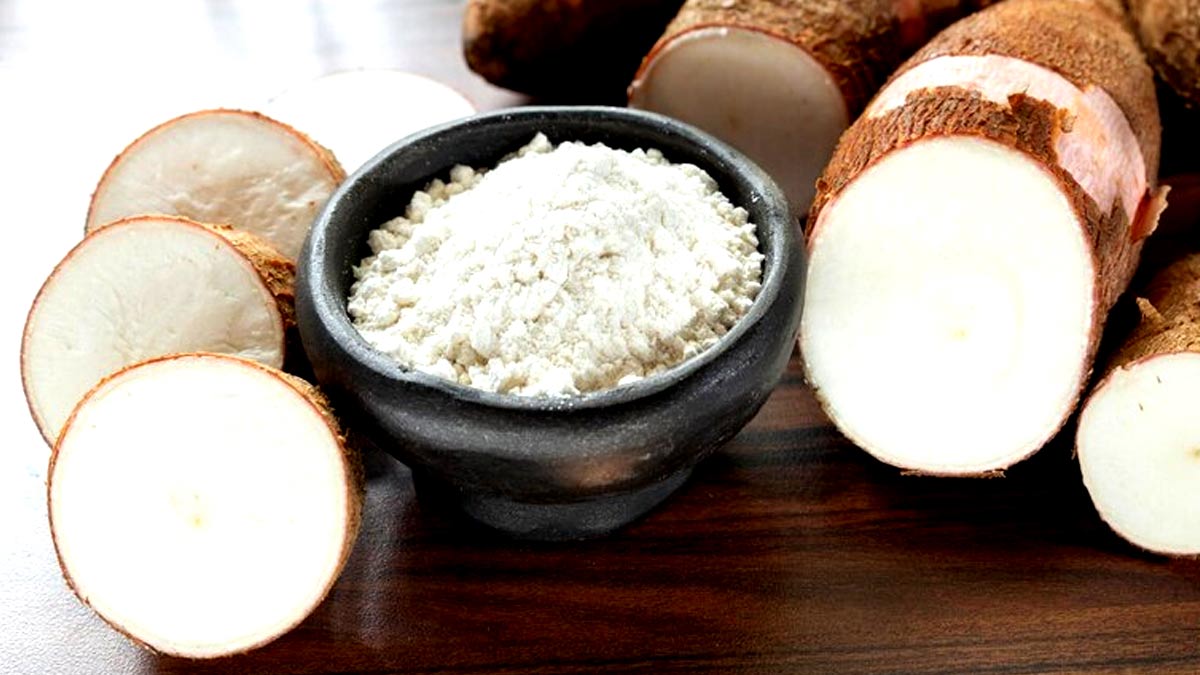 Arrowroot Powder Benefits: வயிற்றுப்போக்கை சட்டுனு நிறுத்த ஆரோரூட் பவுடரை சாப்பிடுங்க