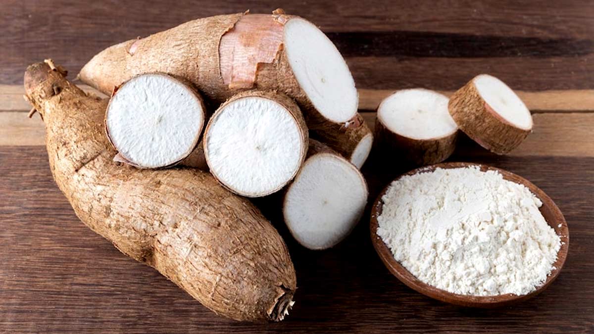 Arrowroot Powder Benefits: ஆரோரூட் மாவில் உள்ள ஆரோக்கிய நன்மைகள் என்னென்ன தெரியுமா?