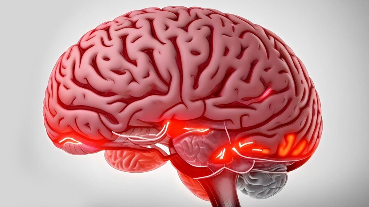 Brain Cancer: இந்த அறிகுறிகளை புறக்கணிக்கவேக் கூடாது.. மூளை புற்றுநோயாக இருக்கலாம்!