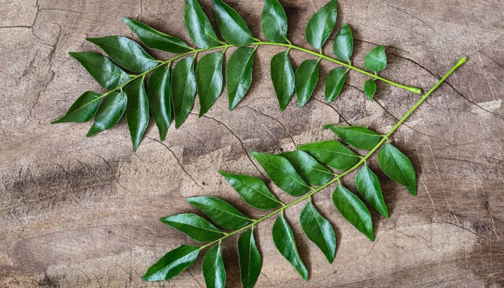 Five ayurvedic medicinal leaves and their uses in tamil