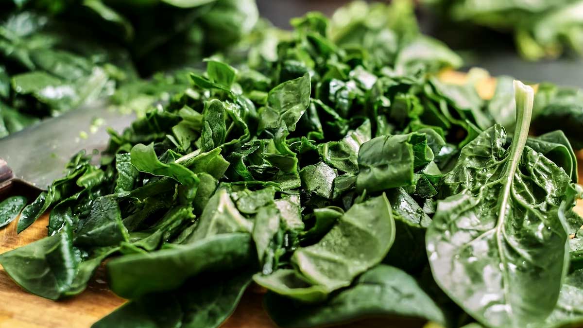 Drumstick Leaves: முருங்கைக் கீரை சாப்பிடுவதால் என்னென்ன ஆரோக்கிய நன்மைகள் கிடைக்கும் தெரியுமா?