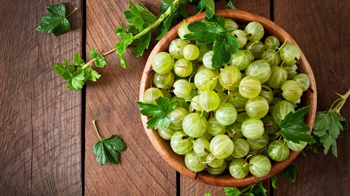 Amla Benefits: வெறும் வயிற்றில் நெல்லிக்காய் சாப்பிடுவதில் இவ்வளவு நன்மை இருக்கா?