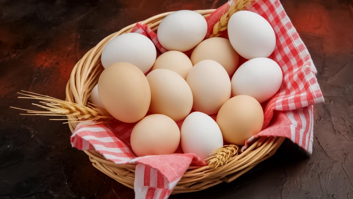 Rich Protein Food: முட்டைக்கு இணையான அதிக ப்ரோட்டின்.. வெஜ் பிரியர்களே புகுந்து விளையாடுங்கள்!