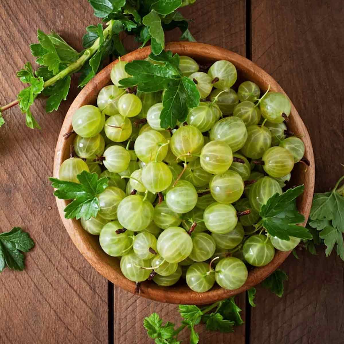 Amla Salad: நெல்லிக்காய் சாலட் செய்முறையும், ஆரோக்கிய நன்மைகளும்!