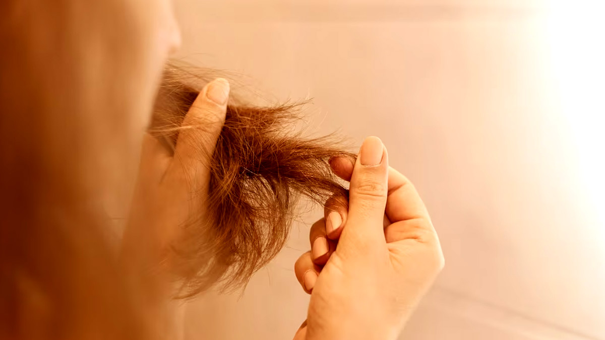 Split Ends Remedies: முடி பிளவு முனைகளால் அவதியா? இந்த ஐந்து பொருள்கள் மட்டும் யூஸ் பண்ணுங்க