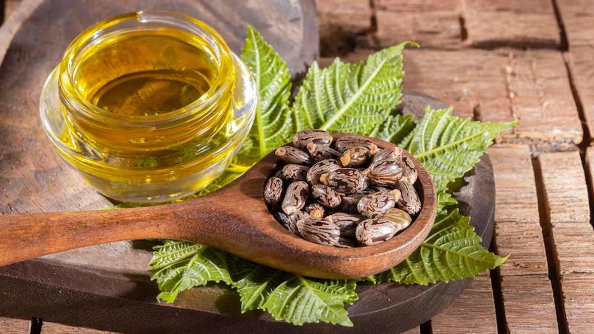 Hair Care Tips: முடி வளர விளக்கெண்ணெயை இப்படி யூஸ் பண்ணி பாருங்க!